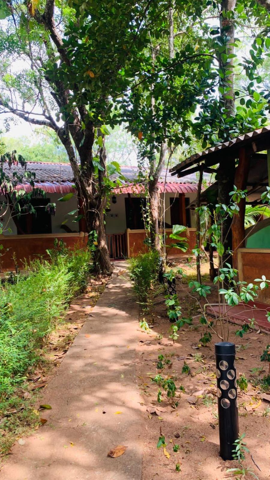 Sisira Natural Lodge - Sigirîya Extérieur photo