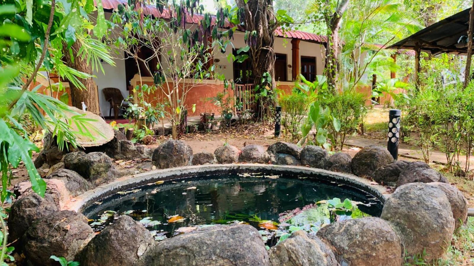 Sisira Natural Lodge - Sigirîya Extérieur photo